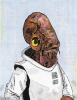 Ackbar-color