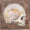 belfield-skull-study-large