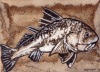 black_drum_sketch_card_web