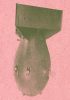 bring-back-the-bomb