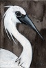 egret